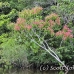 lake_garzacocha_la_h_0006_ecu0668.jpg